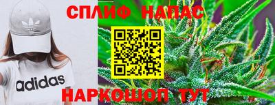ECSTASY Кандалакша