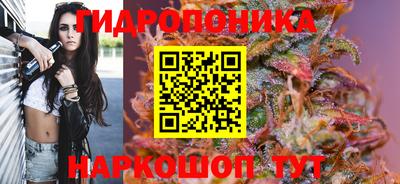 ECSTASY Кандалакша